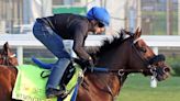 Stronghold Aimed to a Midwest Derby, Endlessly to Turf