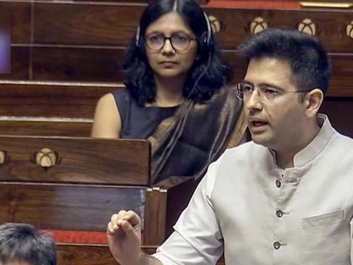 Inflation even in commodities that we were self-sufficient in: Raghav Chadha in RS