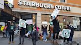 El sindicato de Starbucks convoca una huelga por la decoración de locales en el mes LGTBI