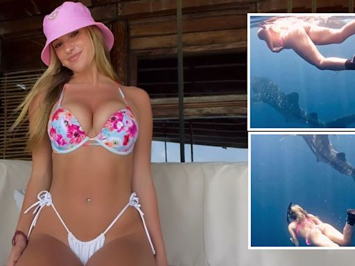 Watch incredible moment world's sexiest volleyball star swims with sharks