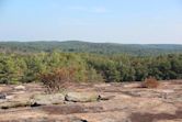 Arabia Mountain