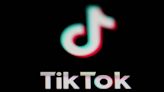 What is TikTok Lite and why are experts accusing it of having a ‘double safety standard’?