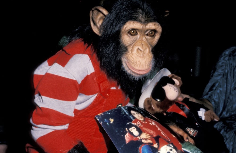 Michael Jackson's chimpanzee Bubbles is living the good life