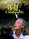 Jane Goodall's Wild Chimpanzees