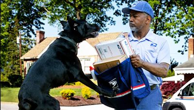 St. Louis ranks 4th among American cities for dog attacks on postal workers
