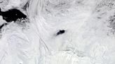 Cold Case: Scientific Sleuths Solve the Case of the Mysterious Giant Opening in Antarctic Sea Ice