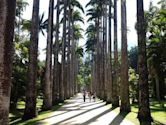 Jardim Botânico, Rio de Janeiro