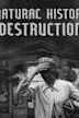 Die Naturgeschichte der Zerstörung