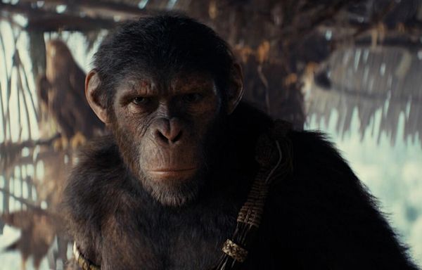 Kingdom of the Planet of the Apes Ending Explained