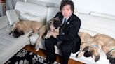 Argentina’s New President Loves His Dogs. People, Not So Much.