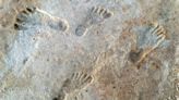 Debate settled? Oldest human footprints in North America really are 23,000 years old, study finds