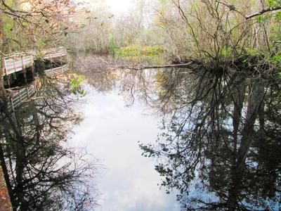 Corkscrew Swamp Sanctuary