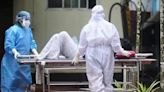 Centre advises 4 immediate measures after Kerala boy infected with Nipah virus dies