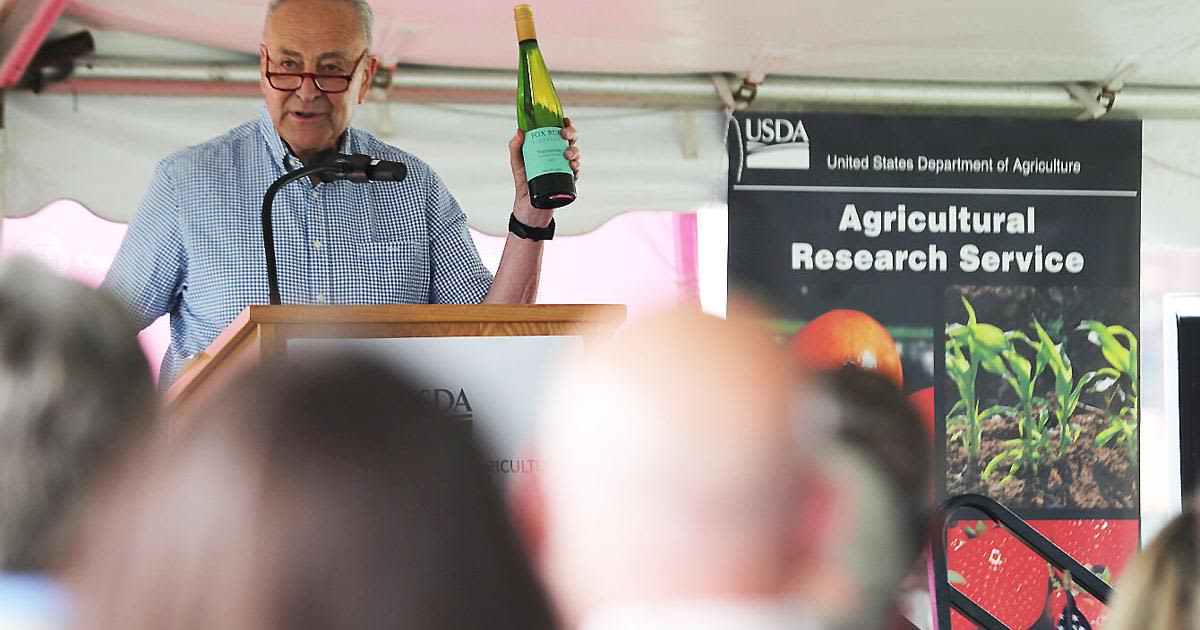 Schumer in Finger Lakes Region to break ground on grape research facility