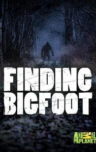 Finding Bigfoot