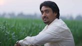 Top 10 OTT Films Of 2024: Diljit Dosanjh's Amar Singh Chamkila At #1 Rules Half Yearly Report But Sara Ali ...