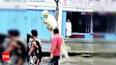 Controversy over Gandhi Statue Removal in Assam | Guwahati News - Times of India