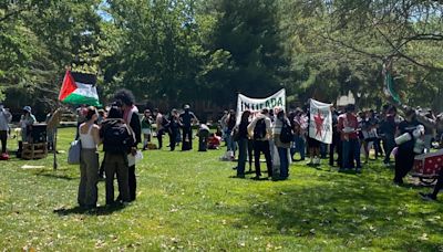 UC Davis students capitalize on May Day for Pro-Palestine protest