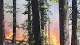 Hundreds evacuate after wildfire closes Yosemite National Park’s famed Mariposa Grove, home to 500 giant sequoias