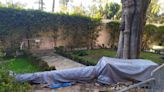 Telarañas, grietas y suciedad se adueñan del Alcázar de Sevilla