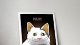 Is It Too Late To Buy Popcat? POPCAT Price Erupts 223% In A Week And This New Cat Coin Might Be The Next...