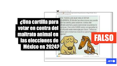 No existe una boleta para votar contra el maltrato animal en las elecciones de México en 2024