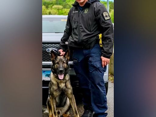 K-9 to retire, stay with his partner’s family after trooper dies in hit-and-run crash