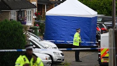 Asesinan con una ballesta a la mujer y las dos hijas del periodista de la BBC John Hunt