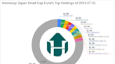 Hennessy Japan Small Cap Fund's Strategic Moves: Spotlight on transcosmos inc