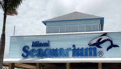 El Miami Seaquarium demanda al condado por la anulación del contrato de arrendamiento