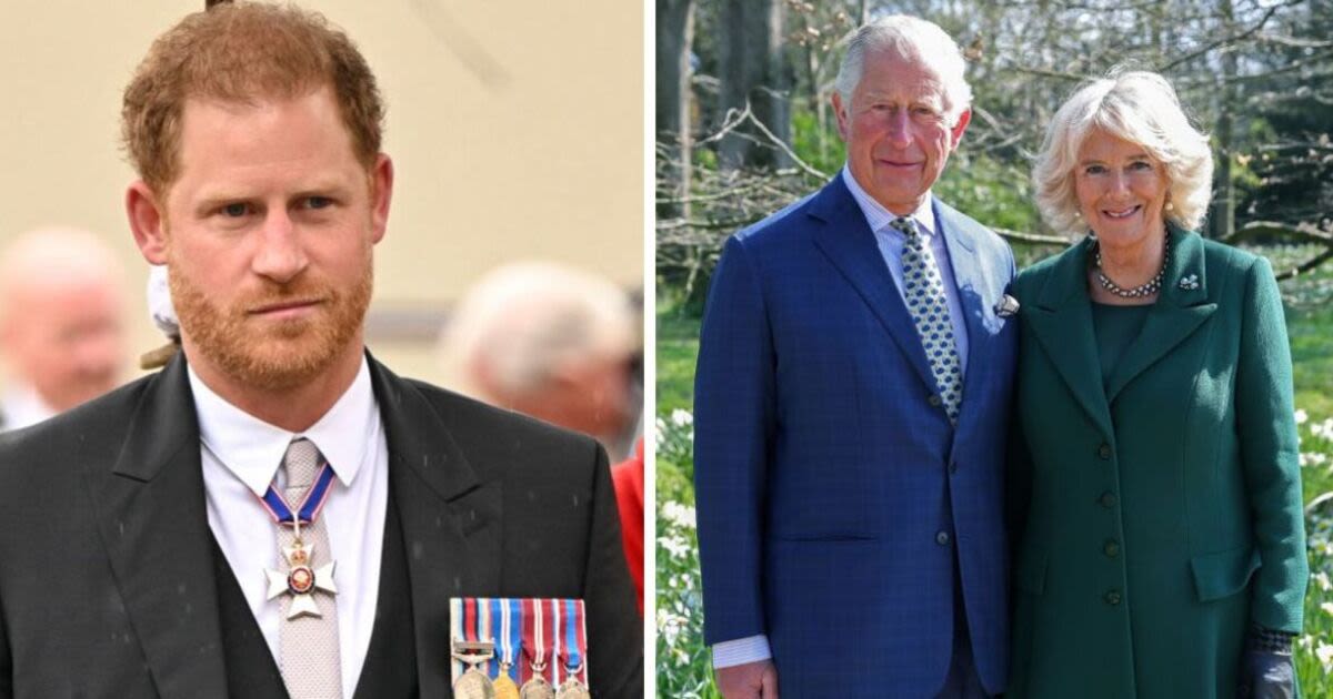 Real reason Harry won't meet Charles laid bare - and it's not a diary clash