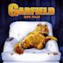 Garfield - O Filme