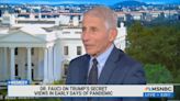 Fauci Says Trump Got Harebrained Hydroxychloroquine Idea ‘From Laura Ingraham on Fox News’