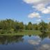 Washington Park Arboretum