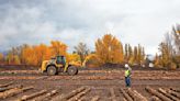 Latest Mill Closure Threatens Northwest Montana’s Timber Traditions and its Forest Health - Flathead Beacon