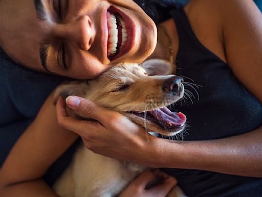 6 Signs Of A Happy Dog, According To Veterinarians