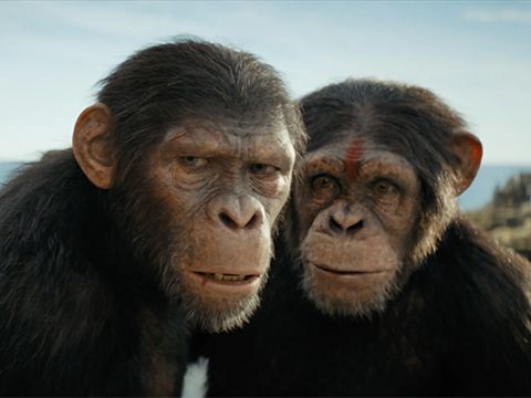 Box office preview: ‘Kingdom of the Planet of the Apes’ hopes to boost May after weak start