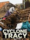 Cyclone Tracy (miniseries)