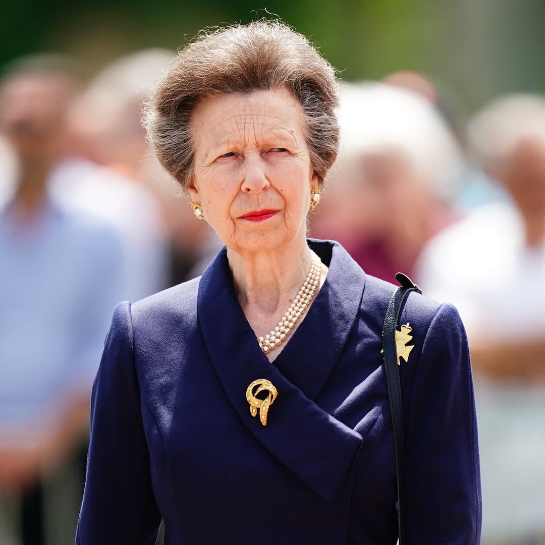 Princess Anne Hospitalized With Concussion After Incident at Her Estate - E! Online