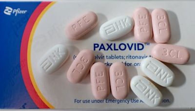 Paxlovid pricey for Alberta pharmacies to stock and tougher for patients to find | CBC News