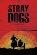 Stray Dogs