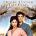 Desire Under the Elms (film)