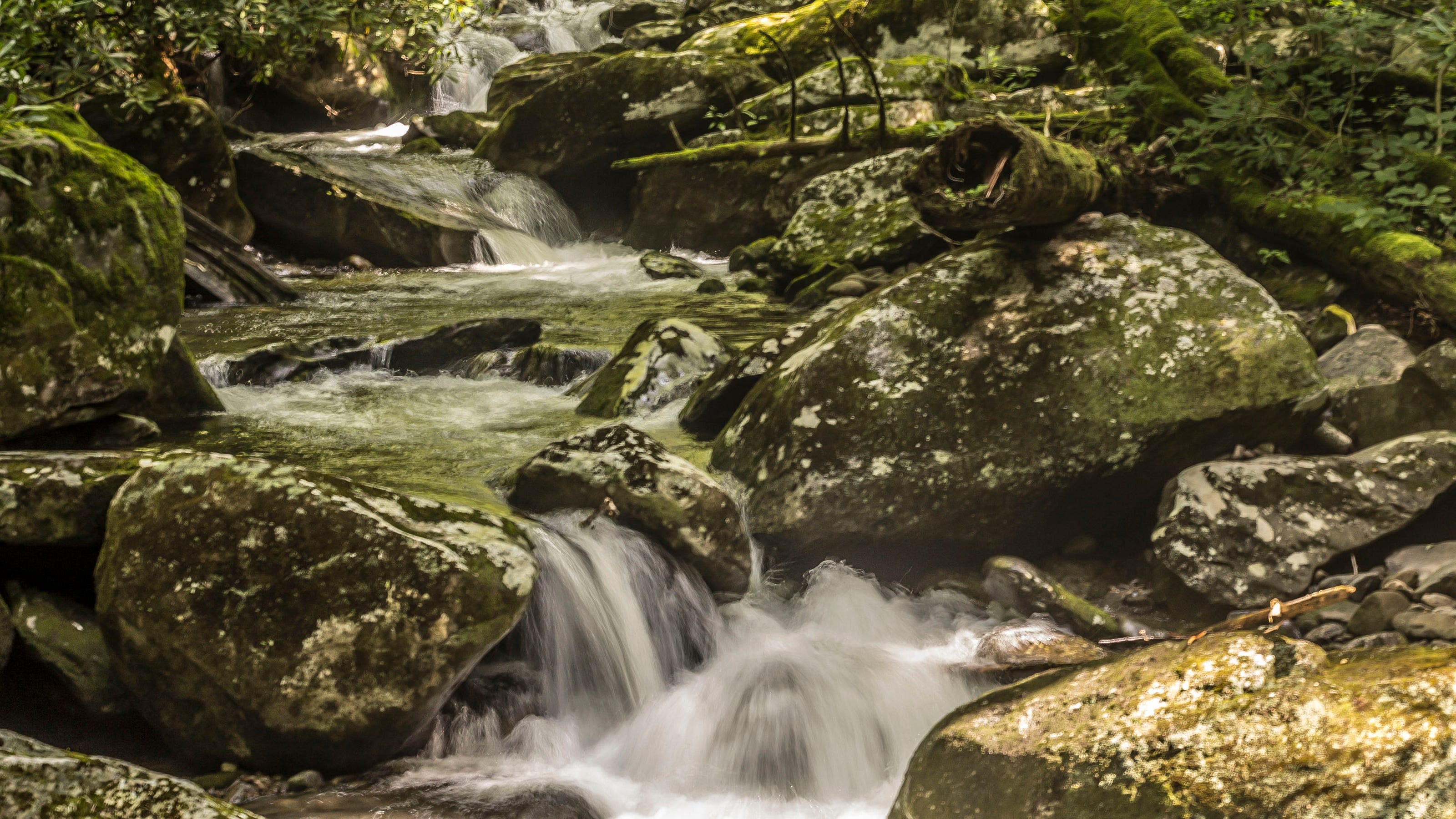 Great Smoky Mountains NP closes some roads, popular waterfall trail after strong storms