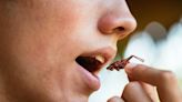 School gave students bugs to eat as part of an assignment