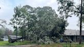 State offers guidance to homeowners needing to file storm damage claims