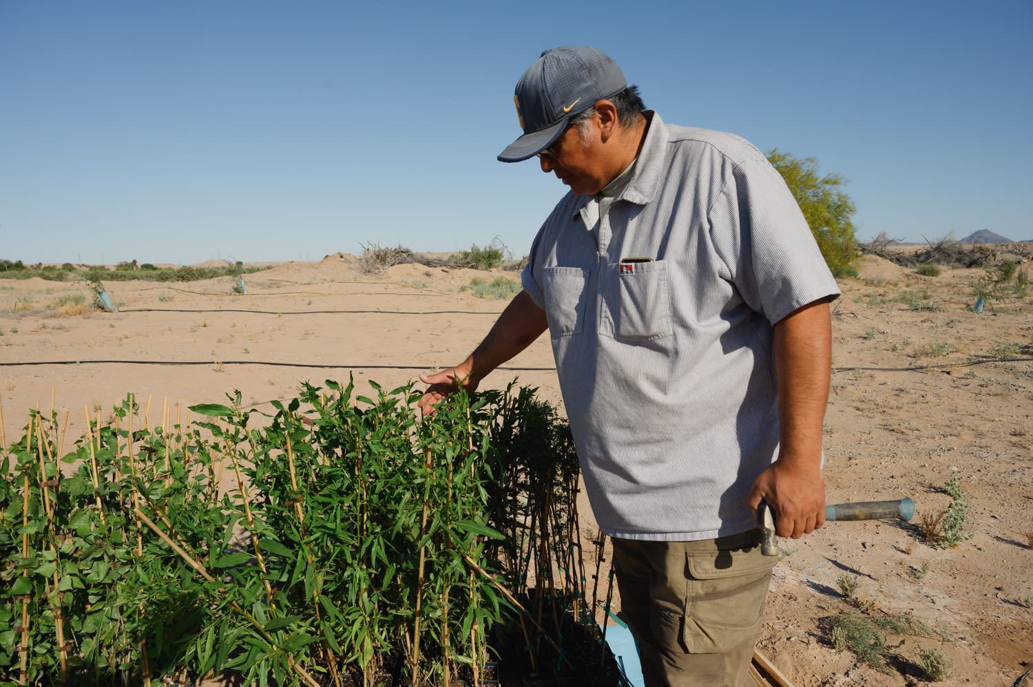 At the edge of Imperial County, the Quechan Tribe works to restore a parched river