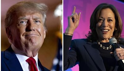 ‘Man-baby’ Donald Trump mocked for obsessing over Kamala Harris crowd sizes at rally; ‘he is so scared…’