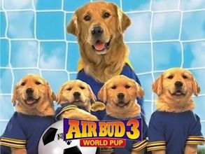 Air Bud 3 – Ein Hund für alle Bälle