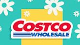 This Returning Costco Fan Favorite Is the First Thing I’m Adding to My Cart for Summer