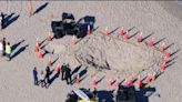 Sloan Mattingly: Police name girl who died playing on Florida beach after sand hole collapse